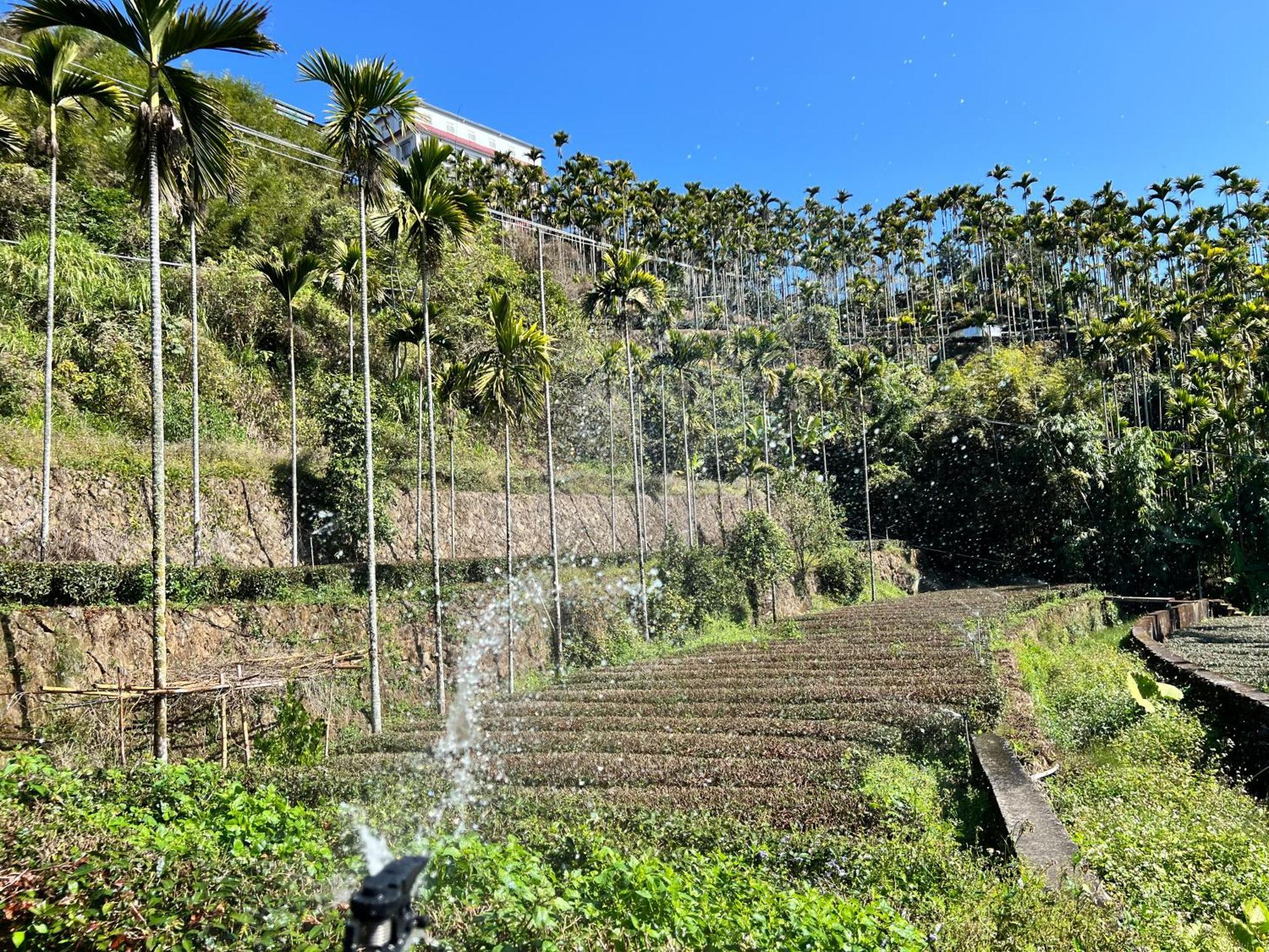 De Ren Tea Gardens Apartment Meishan Luaran gambar