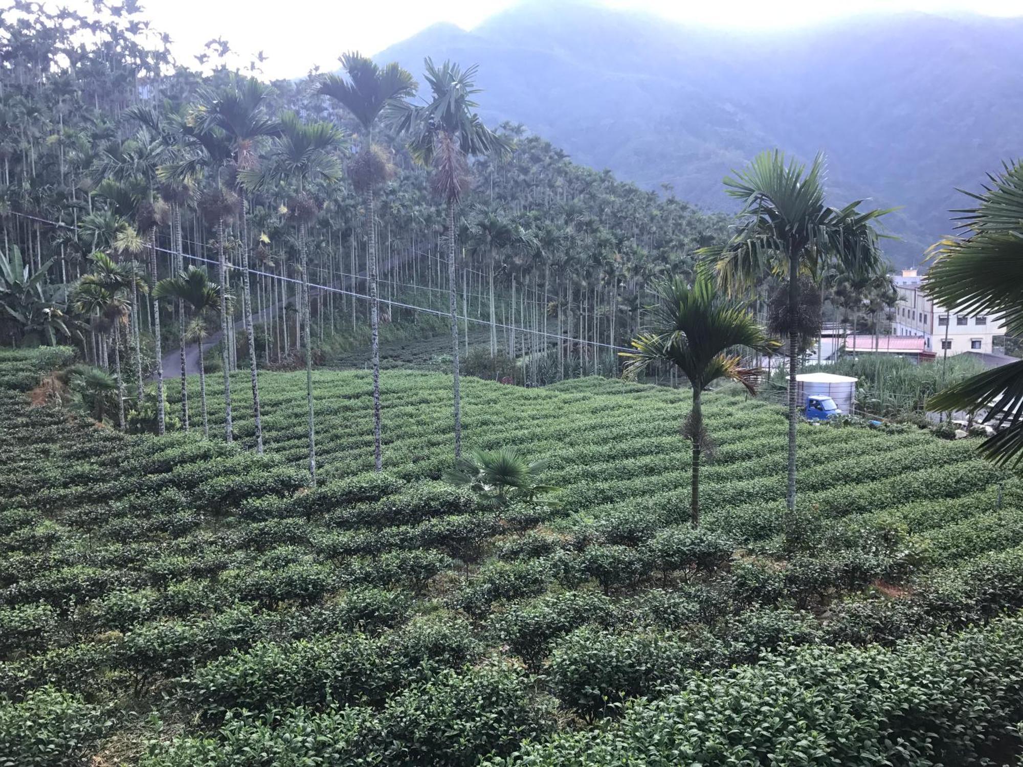 De Ren Tea Gardens Apartment Meishan Luaran gambar