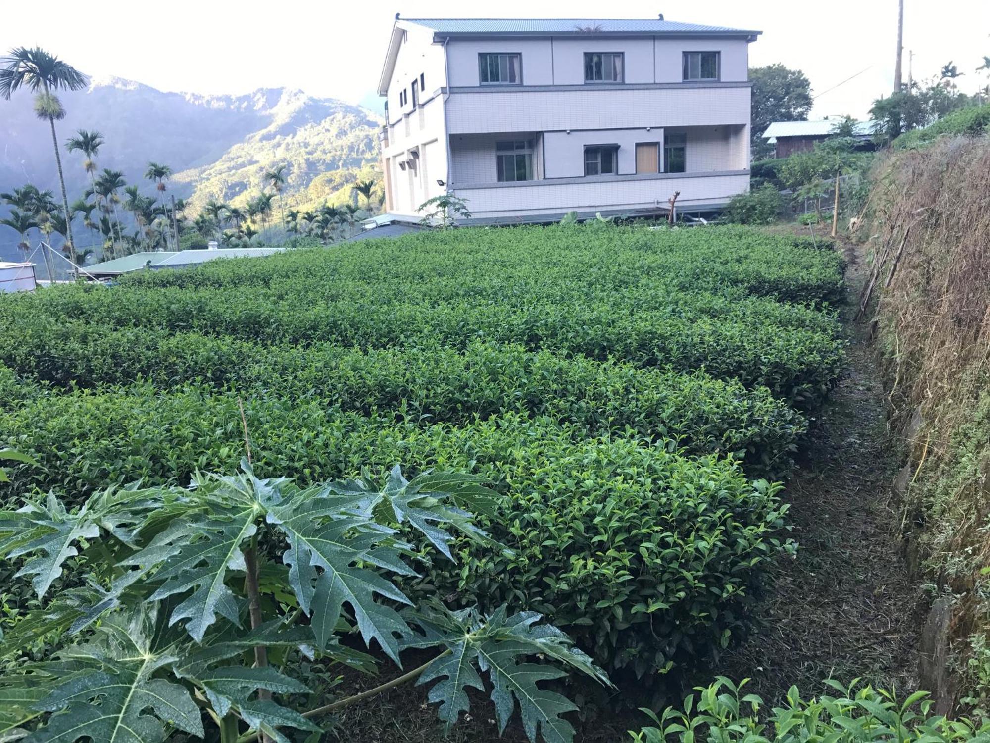 De Ren Tea Gardens Apartment Meishan Luaran gambar