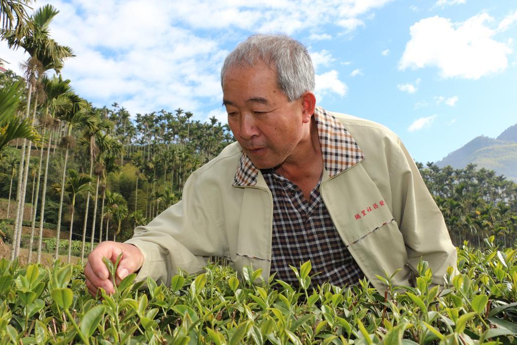 De Ren Tea Gardens Apartment Meishan Luaran gambar