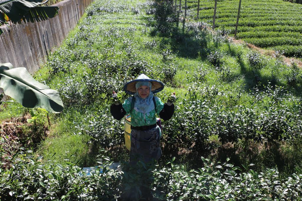 De Ren Tea Gardens Apartment Meishan Luaran gambar